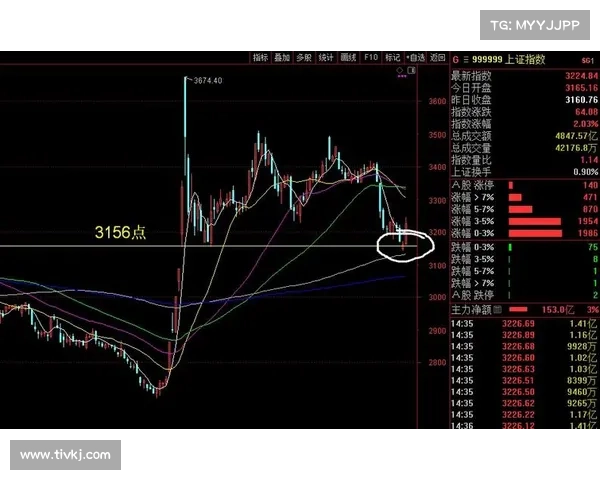 热门股票在华尔街强劲反弹的一周中表现出色